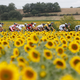 Illustration for article titled 10 reasons why you should watch the Tour De France this year